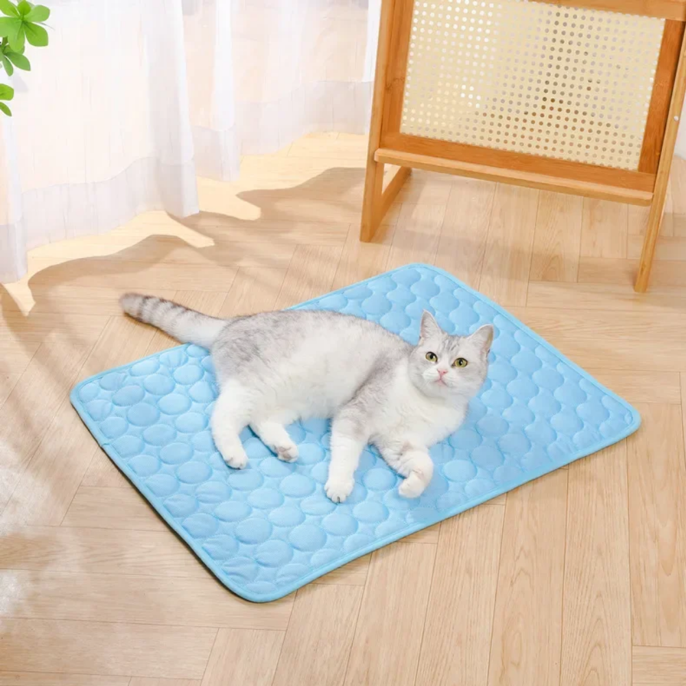 ChillPaws - Dein Vierbeiner leidet in der Hitze, du merkst es nur zu spät.