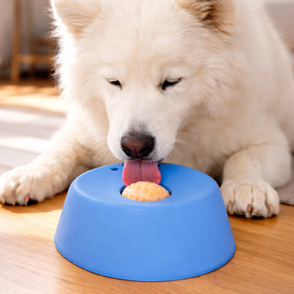SlowLick - Dein Fellfreund frisst wie ein Staubsauger, dieser Napf stoppt das Schlingen.